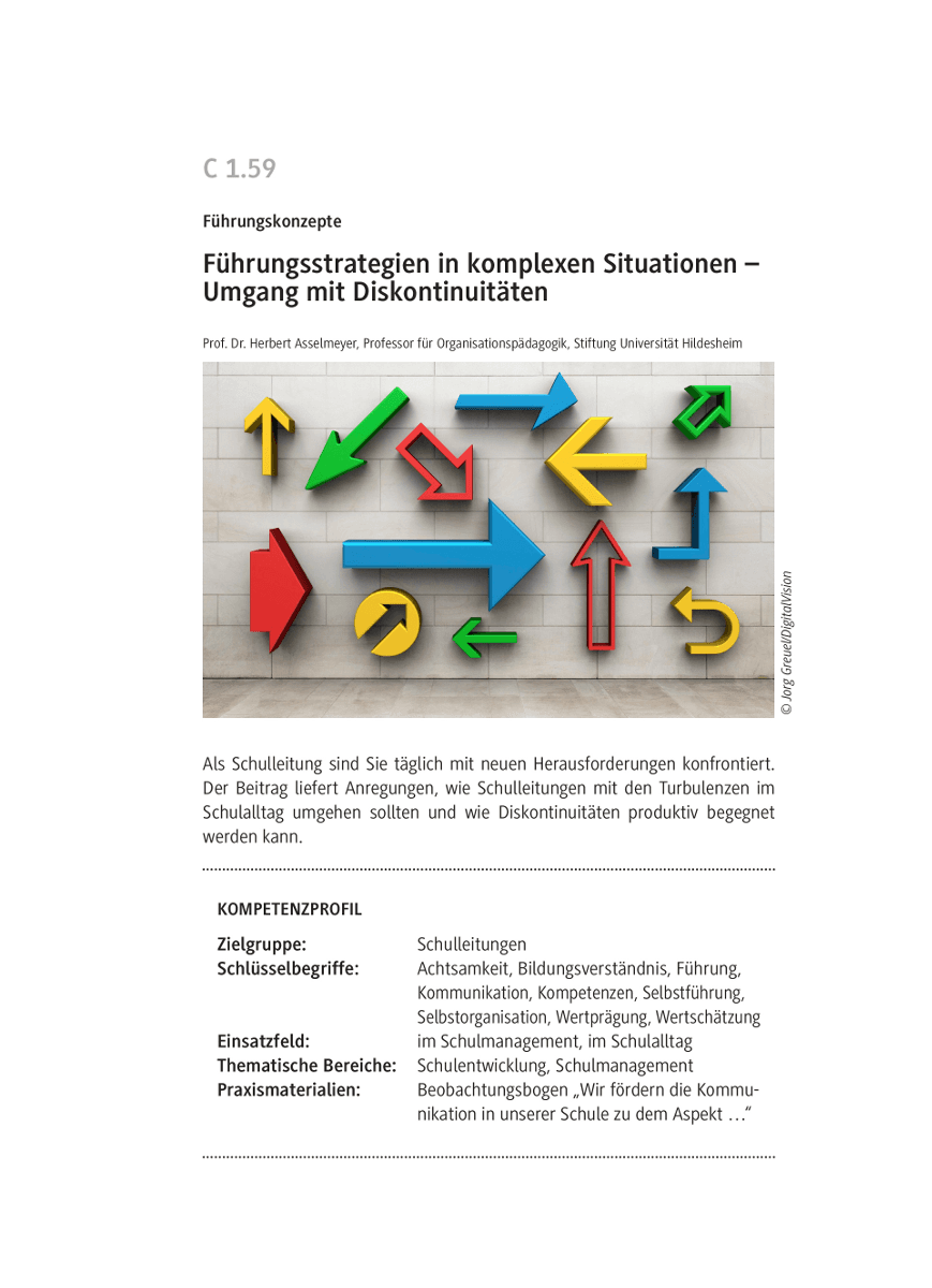 Führungsstrategien in komplexen Situationen