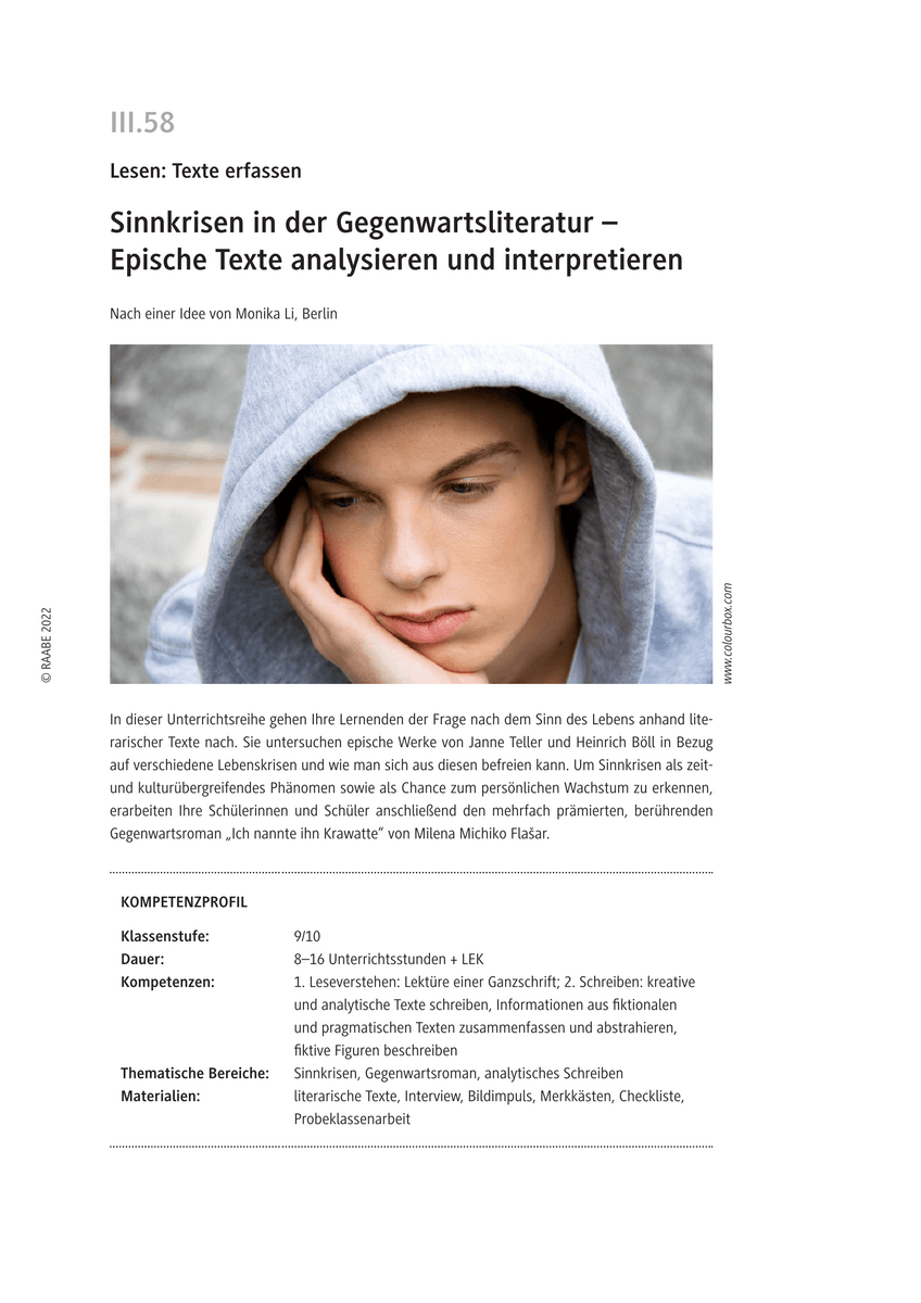 Sinnkrisen in der Gegenwartsliteratur