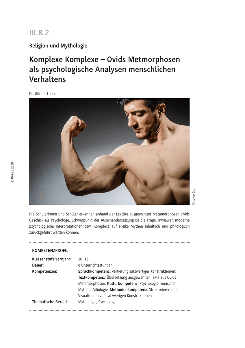 Komplexe Komplexe