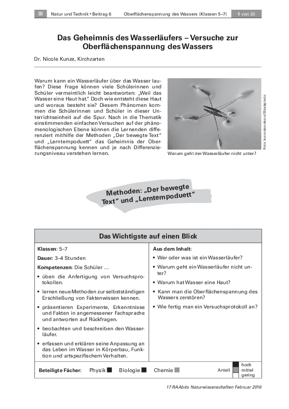 Das Geheimnis des Wasserläufers