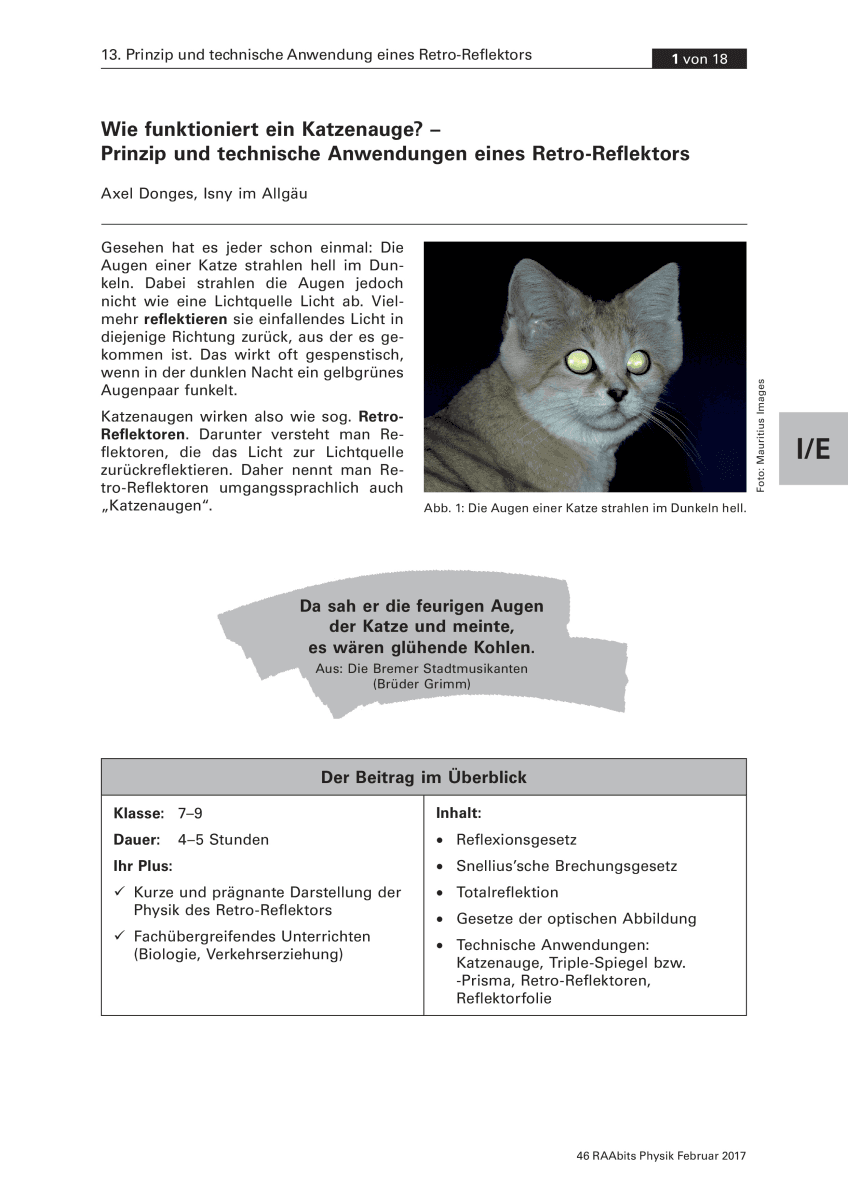 Wie funktioniert ein Katzenauge?