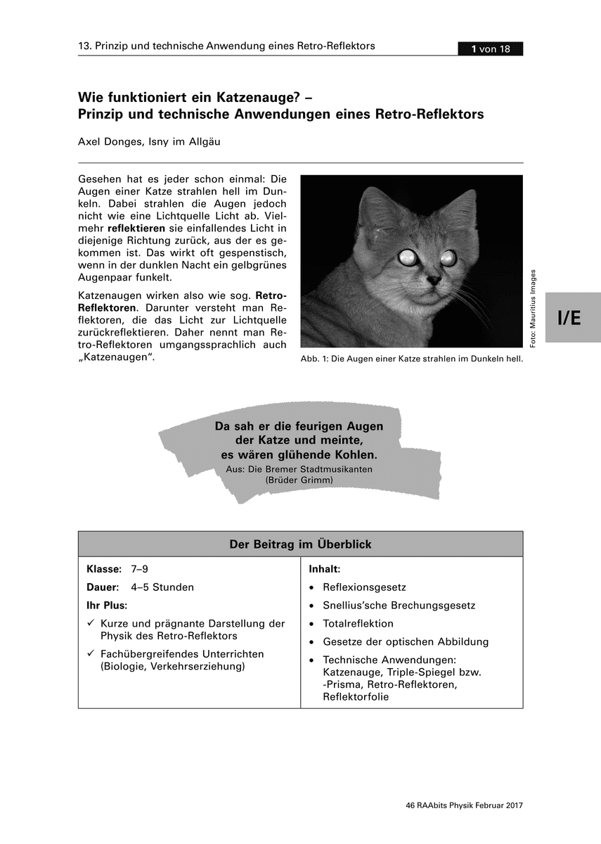 Wie funktioniert ein Katzenauge?