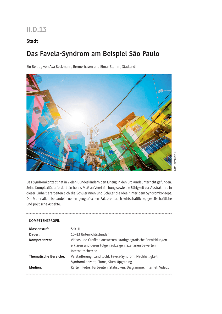 Das Favela Syndrom am Beispiel São Paulo