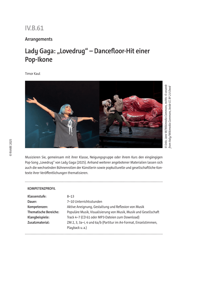 Lady Gaga: „Lovedrug“
