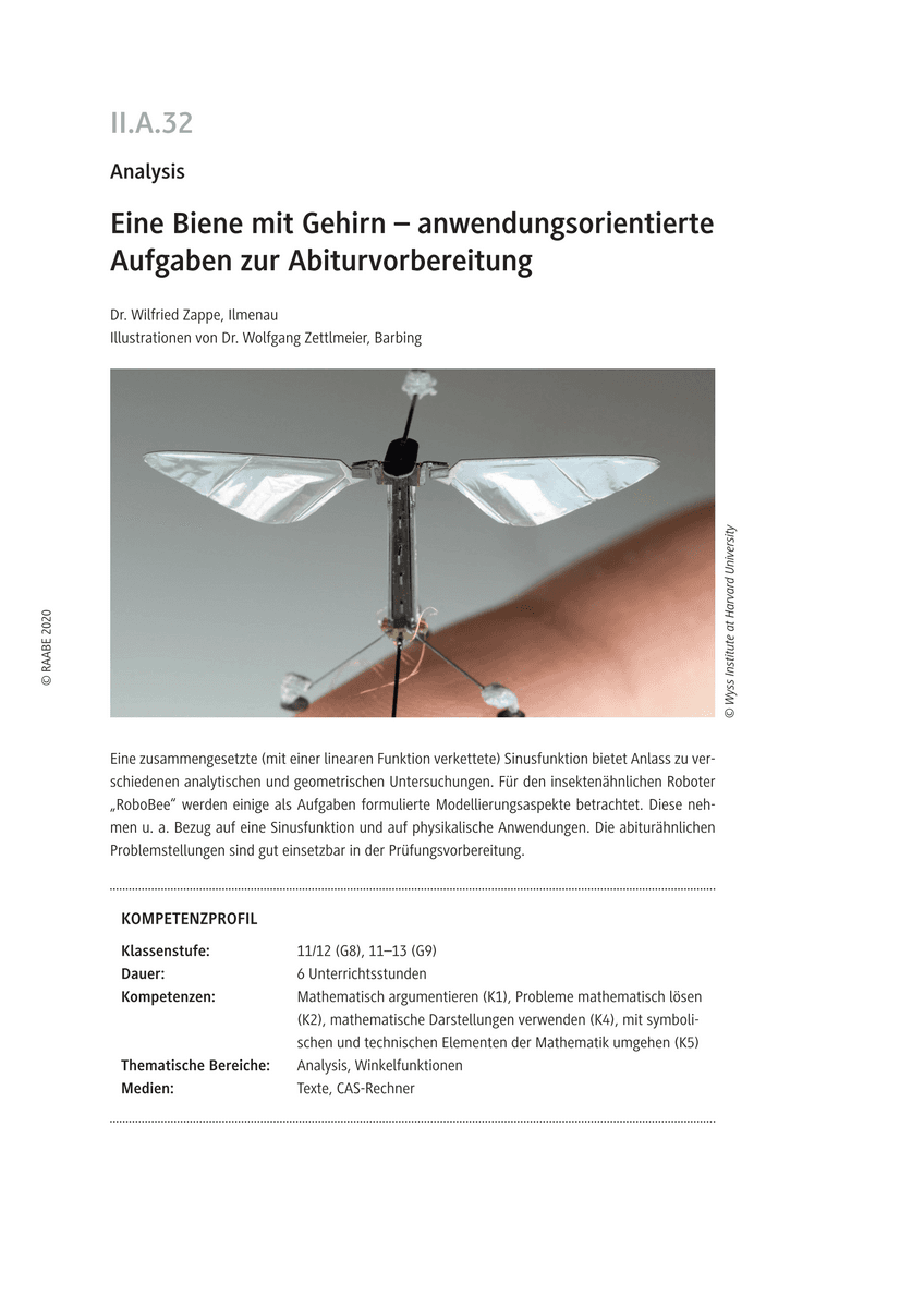 Eine Biene mit Gehirn
