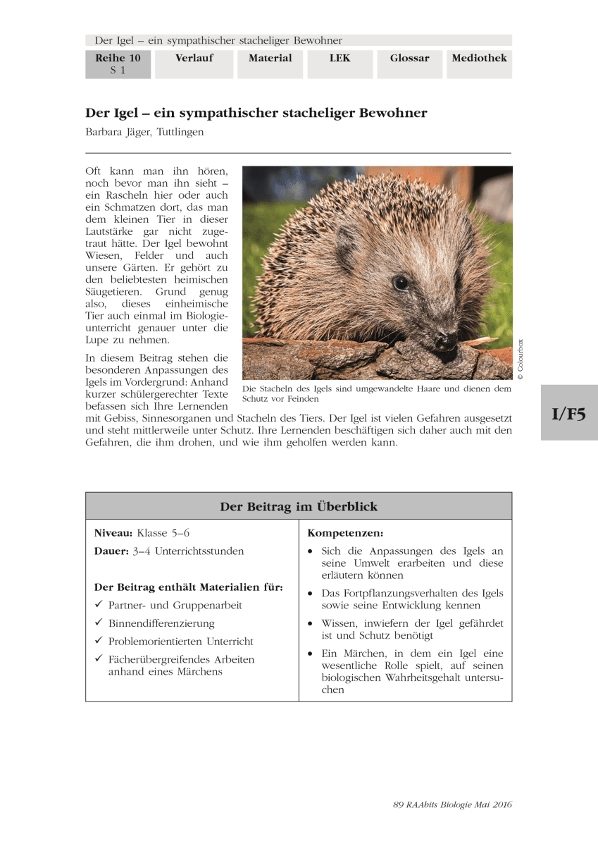 Der Igel