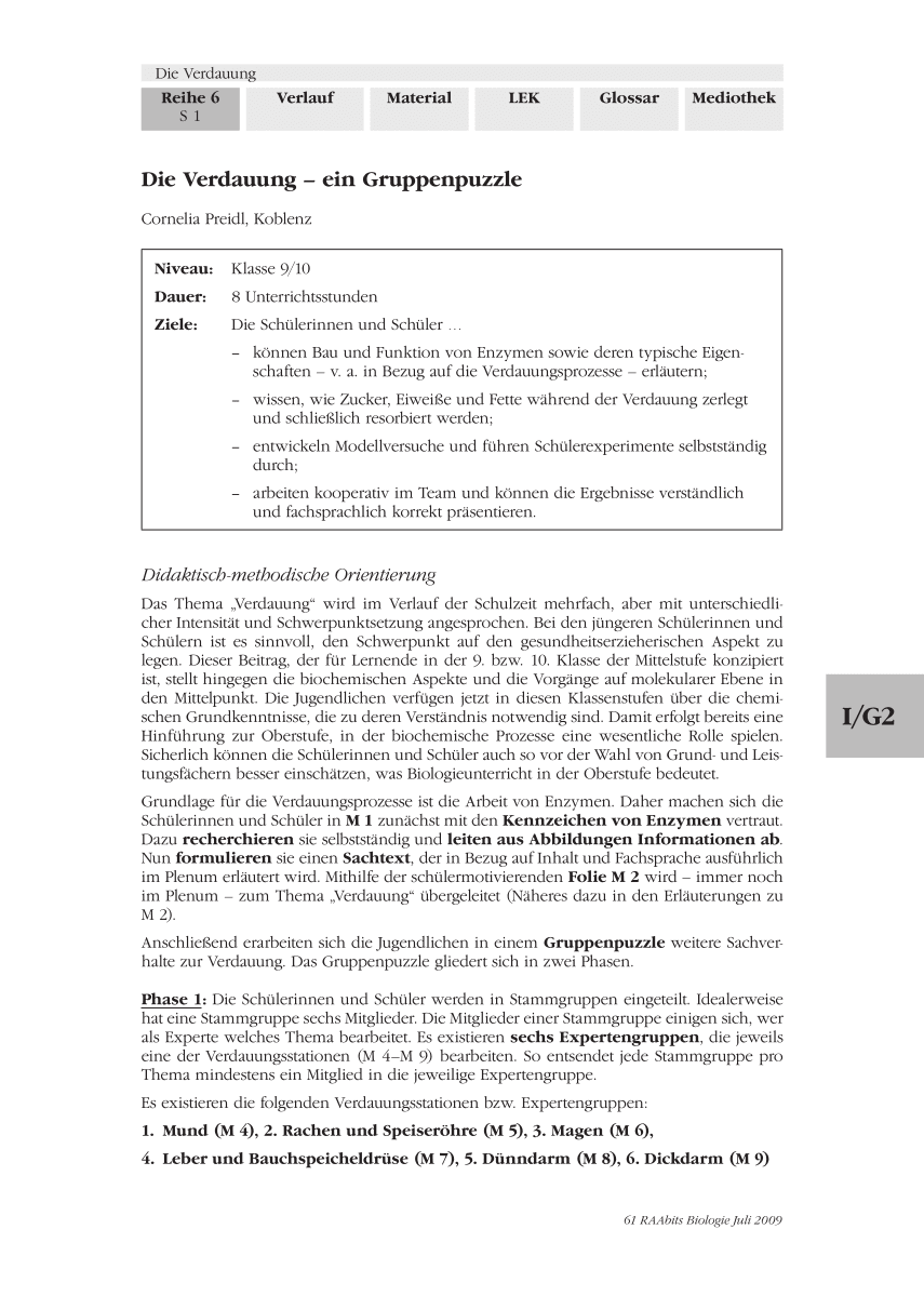 Die Verdauung