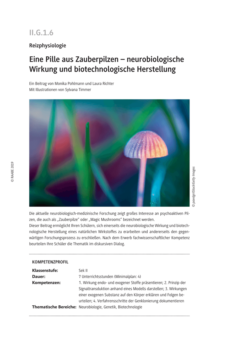 Eine Pille aus Zauberpilzen