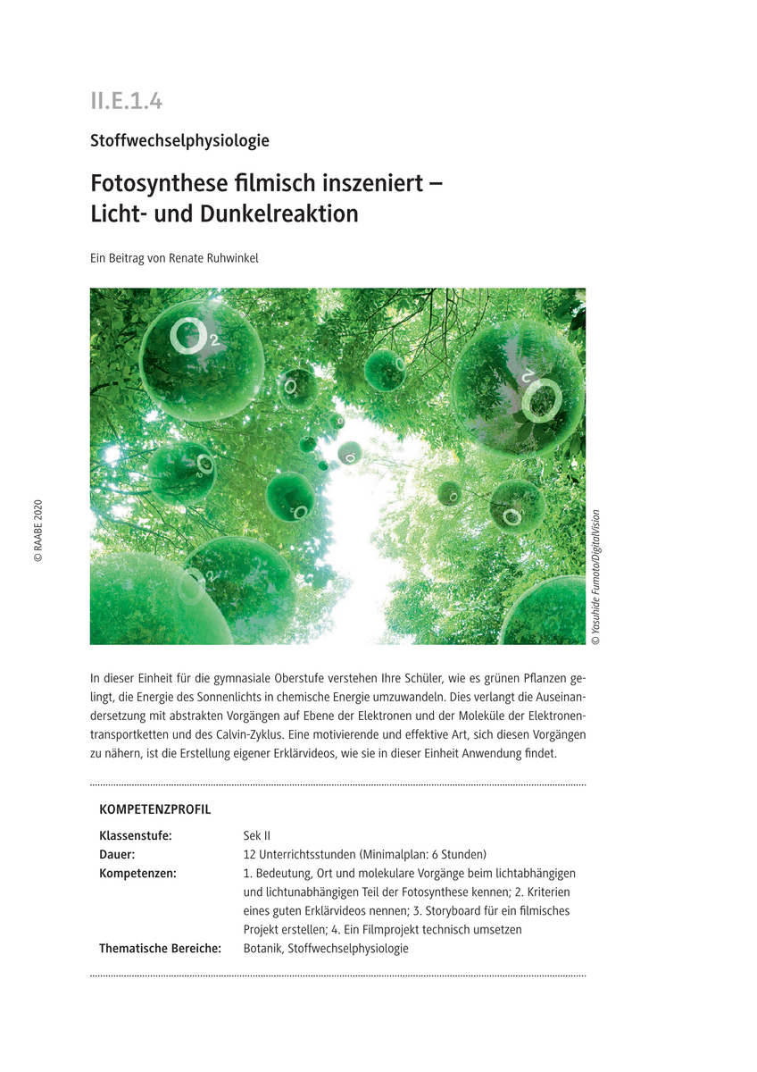 Fotosynthese filmisch inszeniert