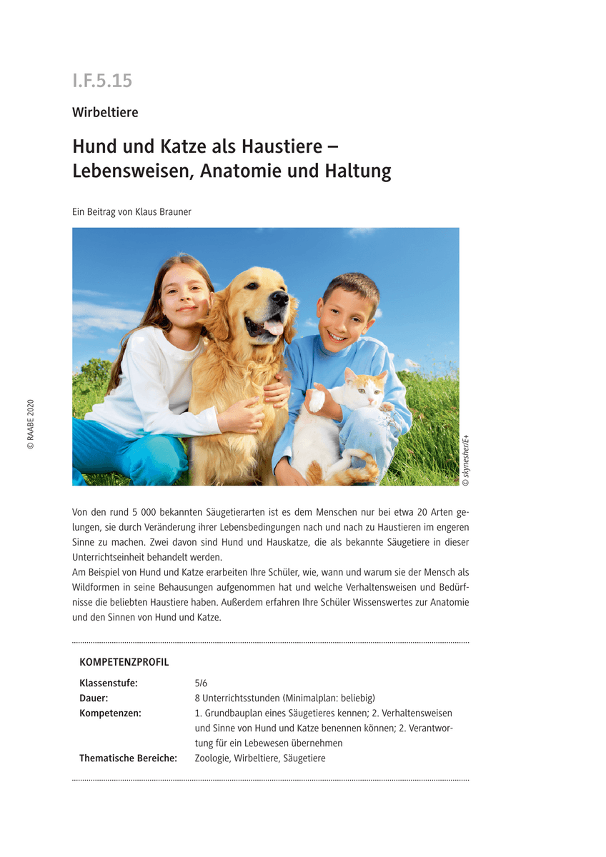 Hund und Katze als Haustiere