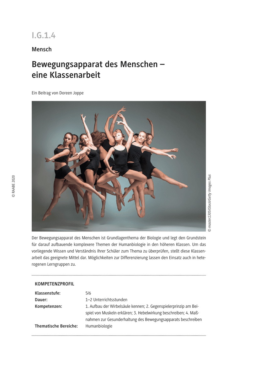 Bewegungsapparat des Menschen