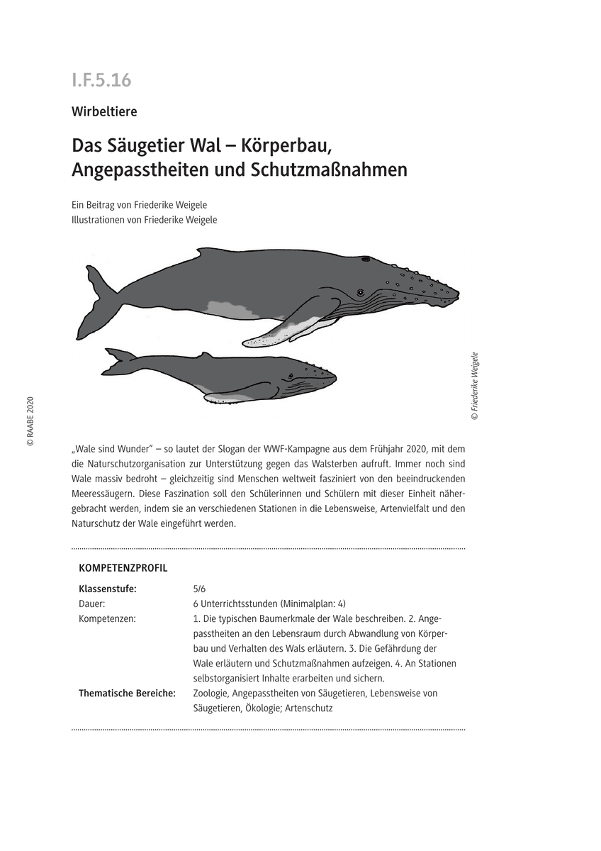 Das Säugetier Wal