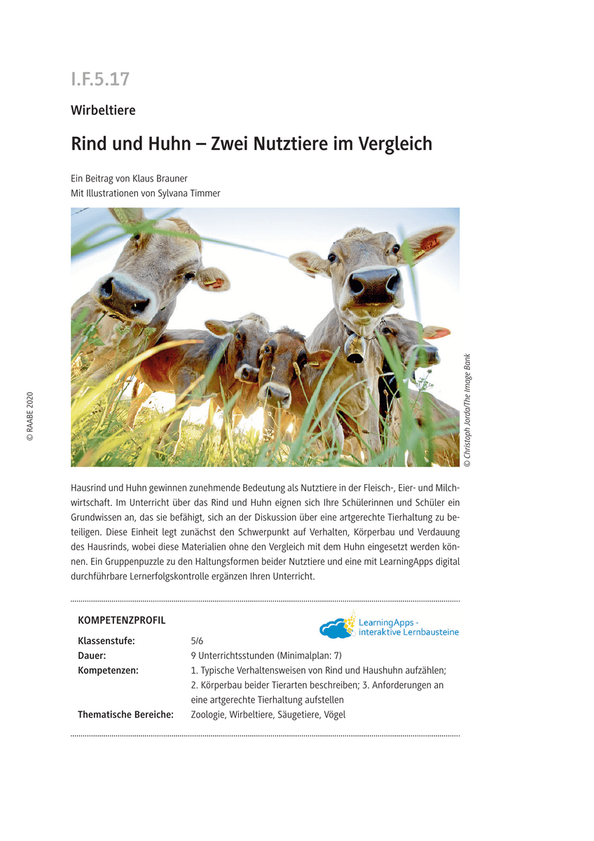 Rind und Huhn