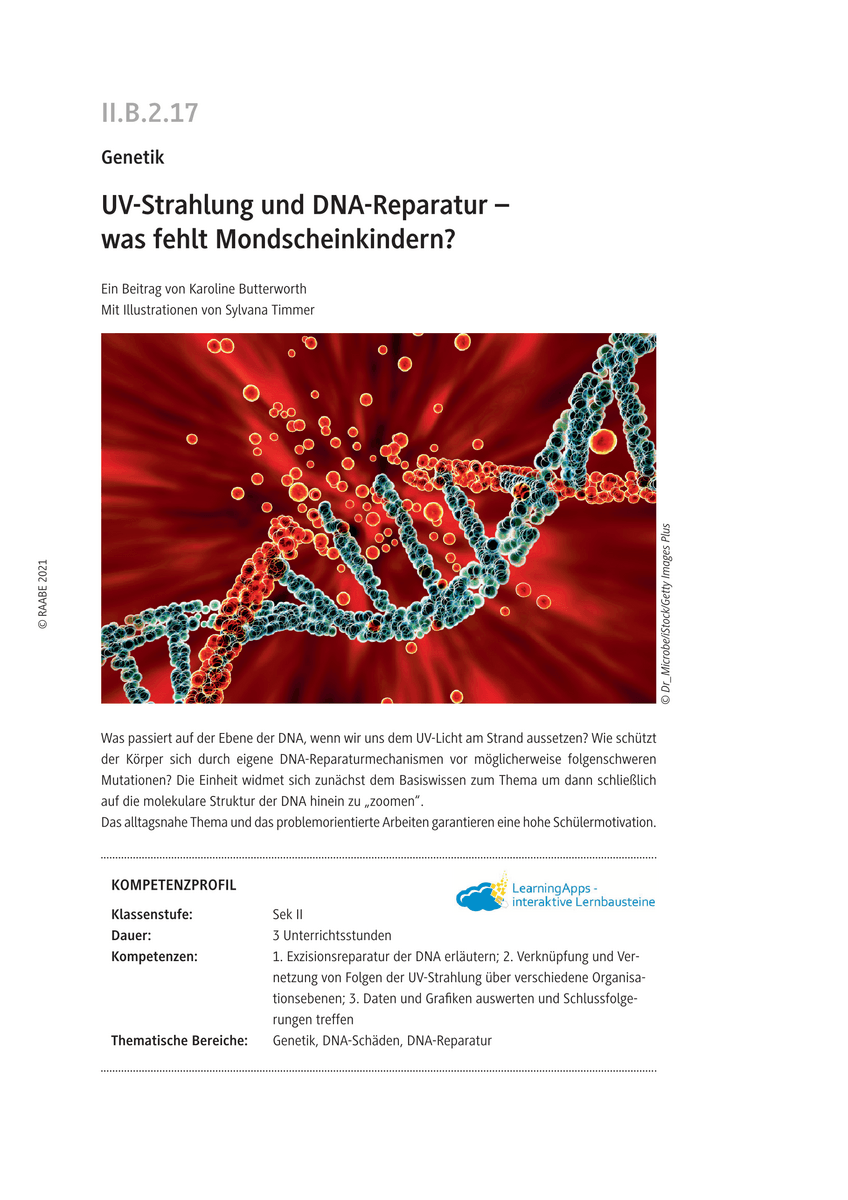 UV-Strahlung und DNA-Reparatur
