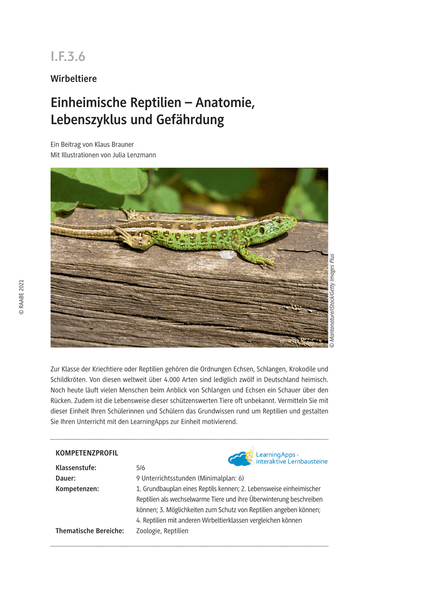 Einheimische Reptilien