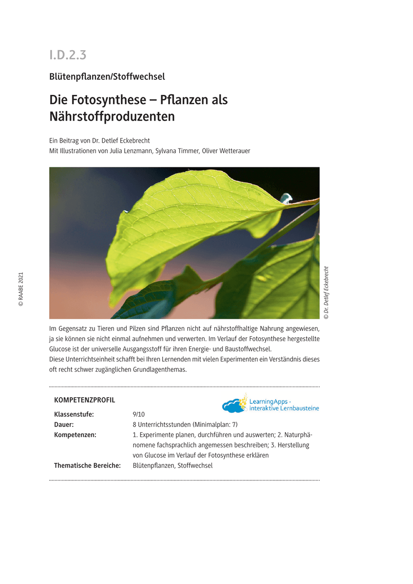 Die Fotosynthese