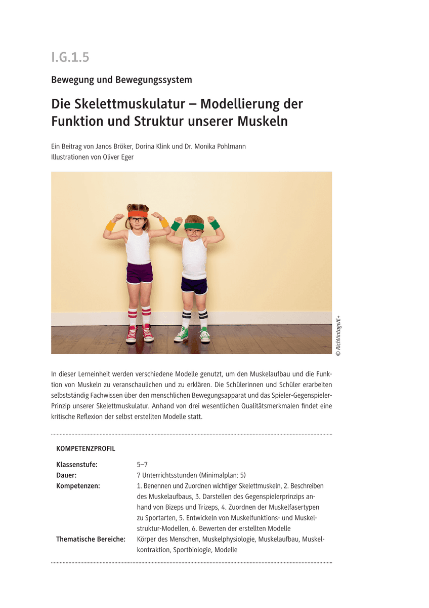 Die Skelettmuskulatur
