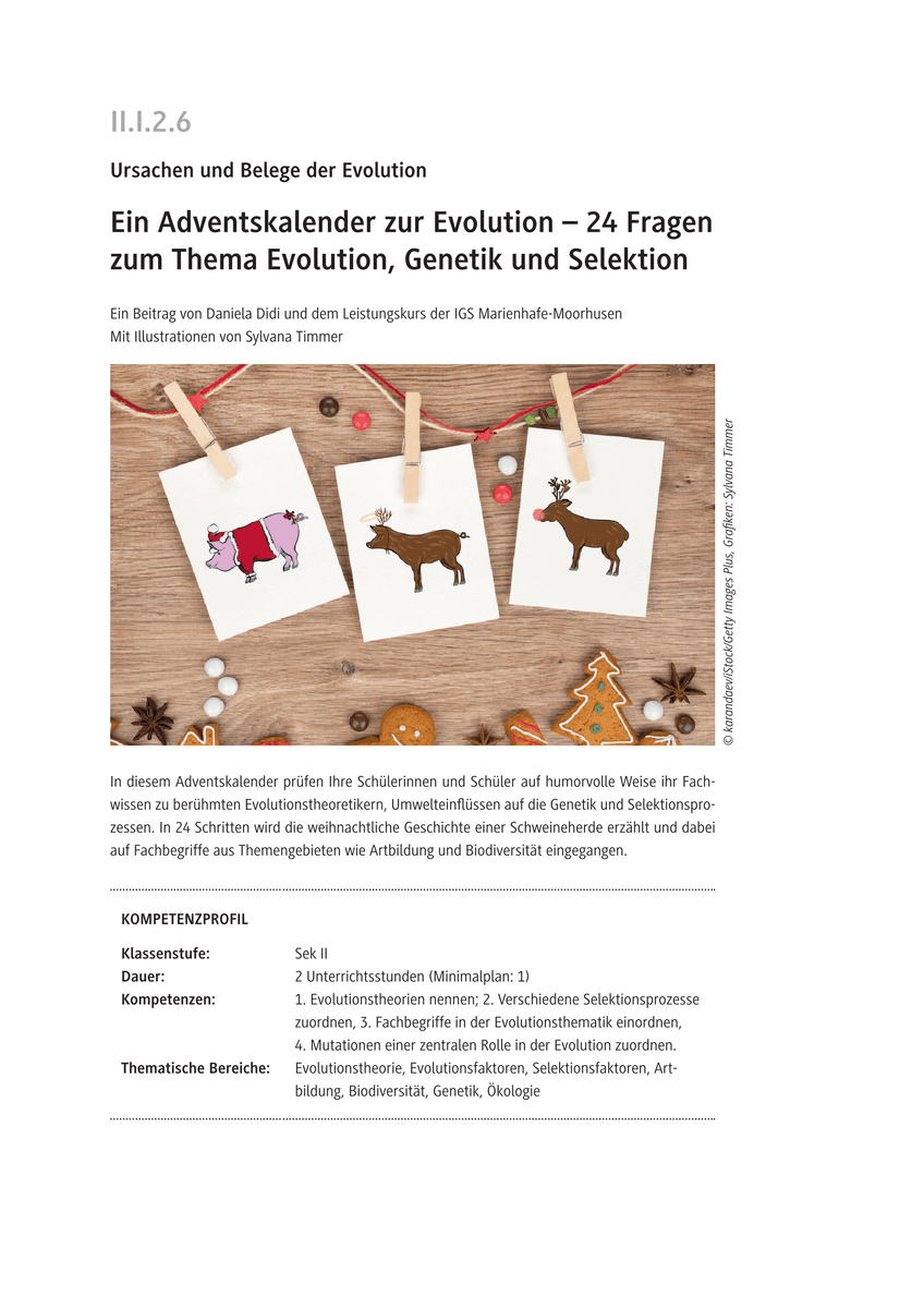 Ein Adventskalender zu Evolution