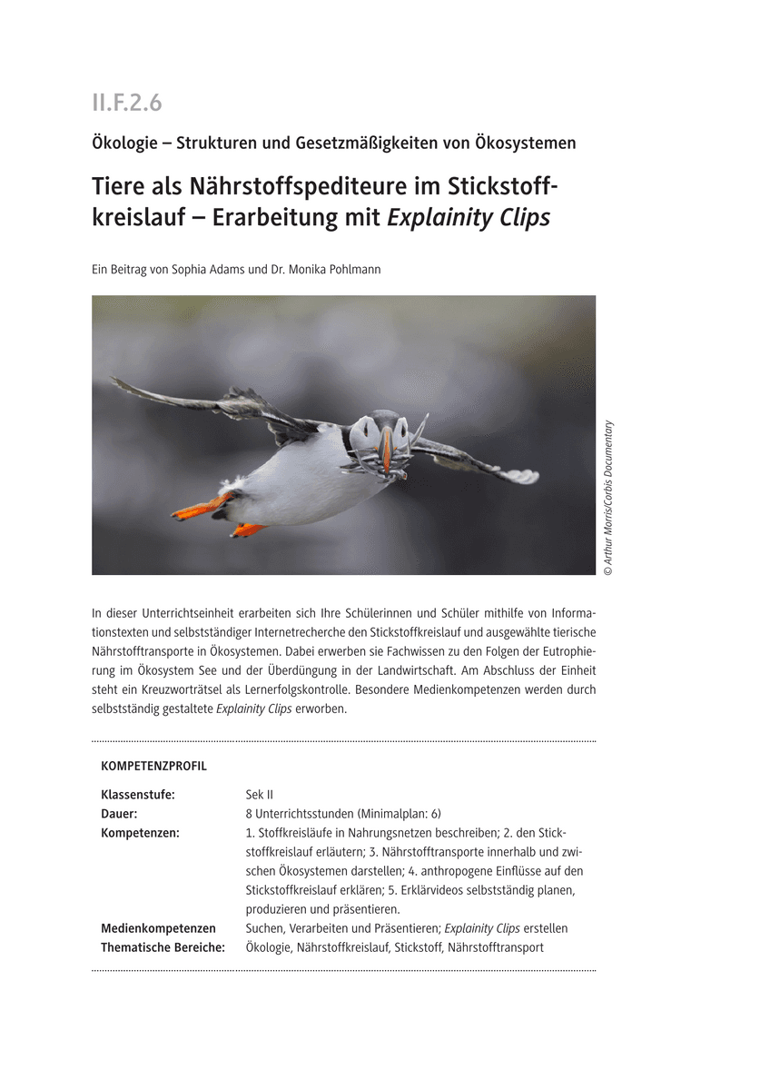 Tiere als Nährstoffspediteure im Stickstoffkreislauf