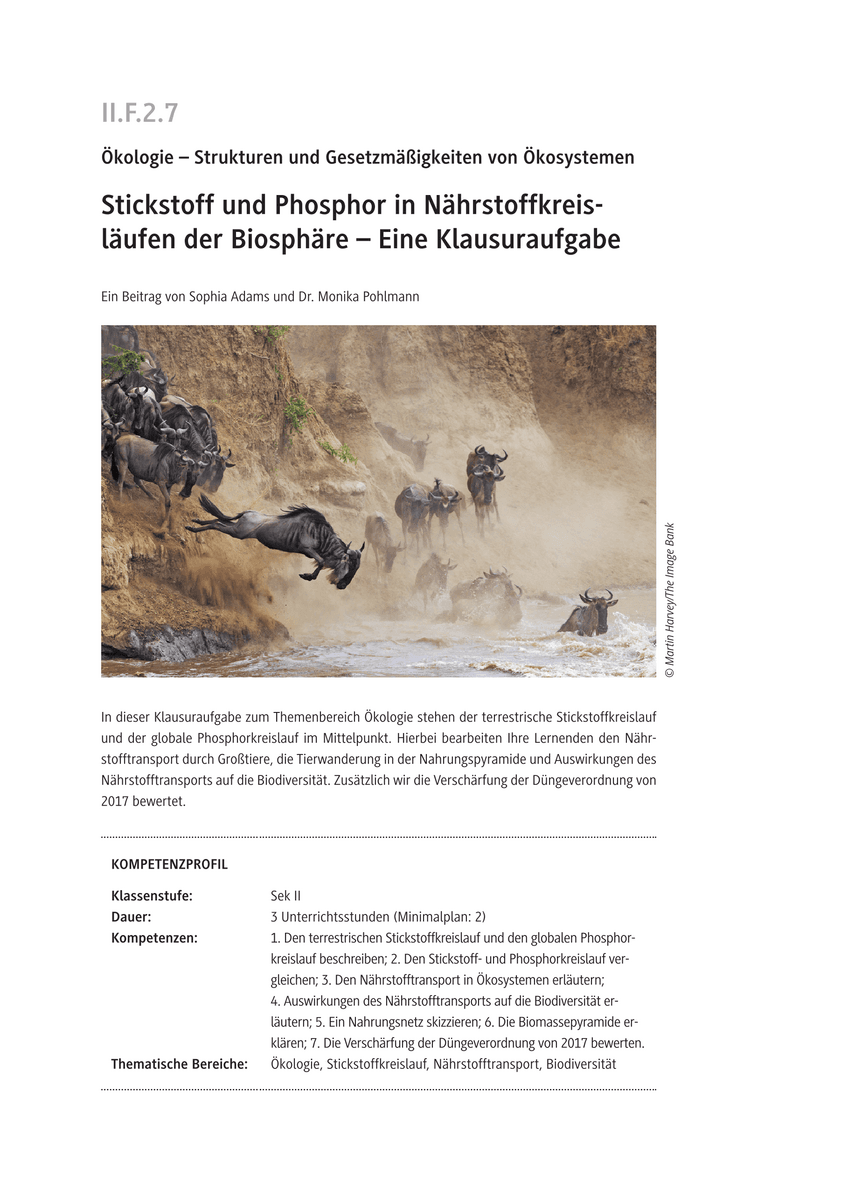 Stickstoff und Phosphor in Nährstoffkreisläufen der Biosphäre