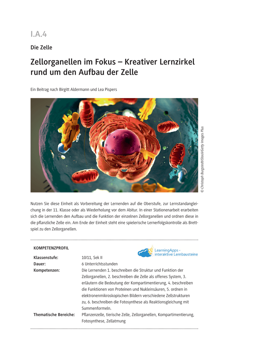 Zellorganellen im Fokus