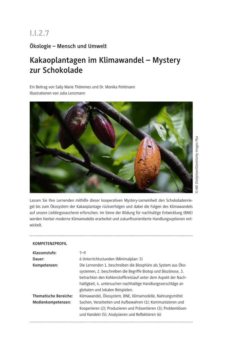 Kakaoplantagen im Klimawandel