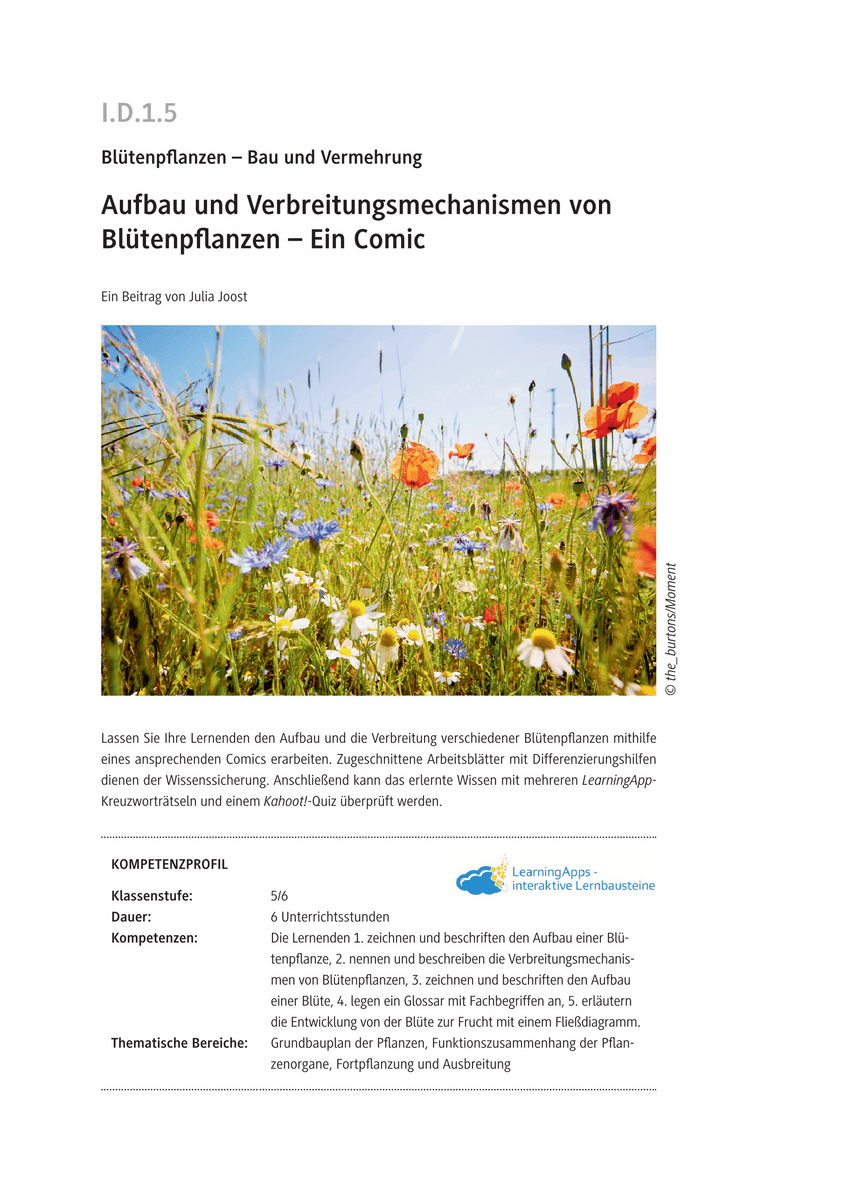 Aufbau und Verbreitungsmechanismen von Blütenpflanzen
