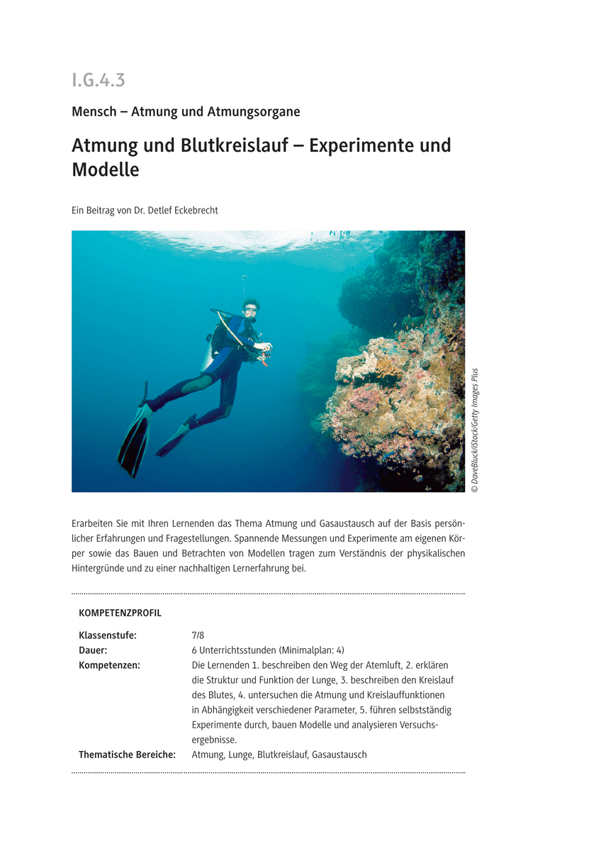 Atmung und Blutkreislauf