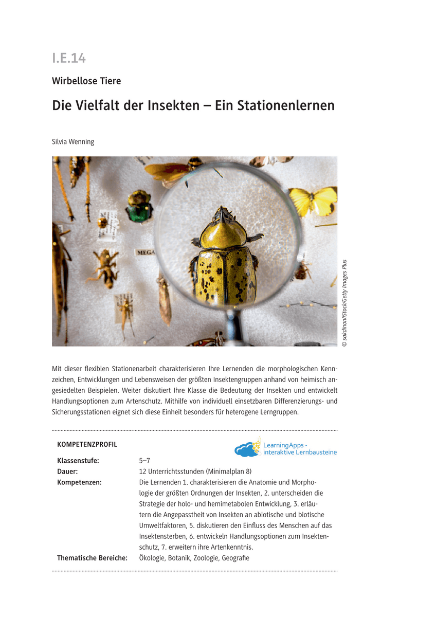 Die Vielfalt der Insekten