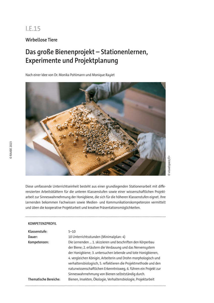 Das große Bienenprojekt