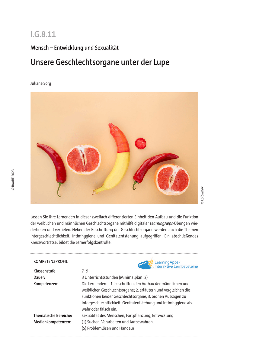 Unsere Geschlechtsorgane unter der Lupe
