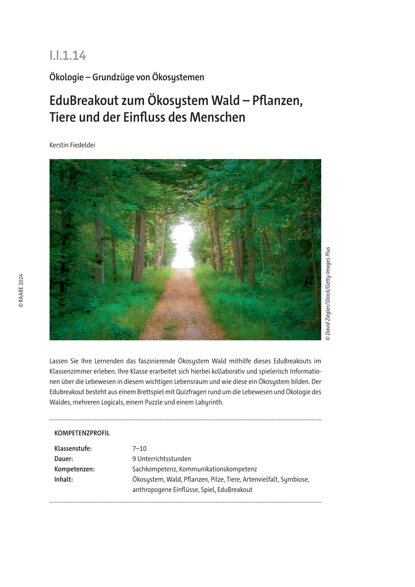 EduBreakout zum Ökosystem Wald