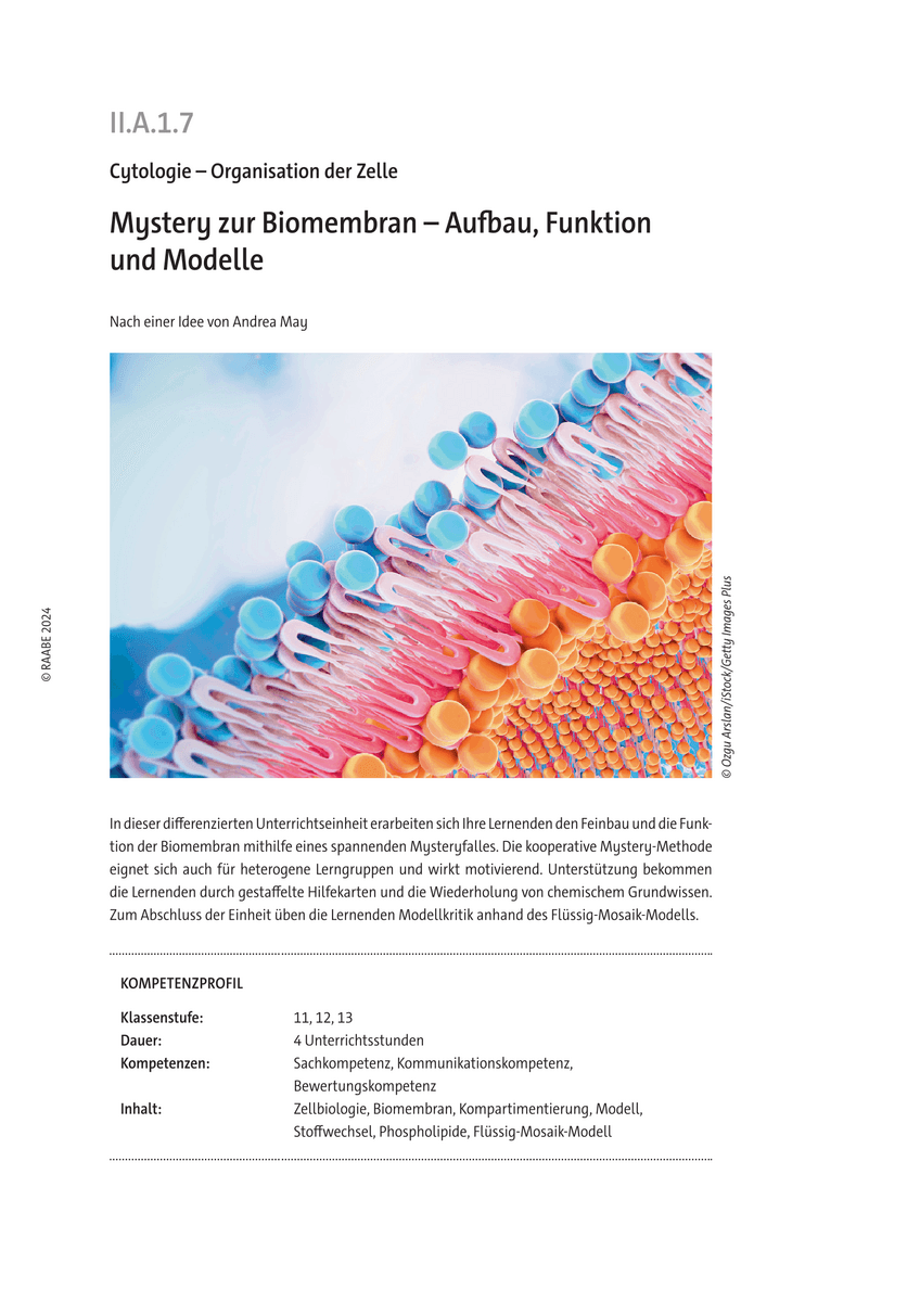 Mystery zur Biomembran