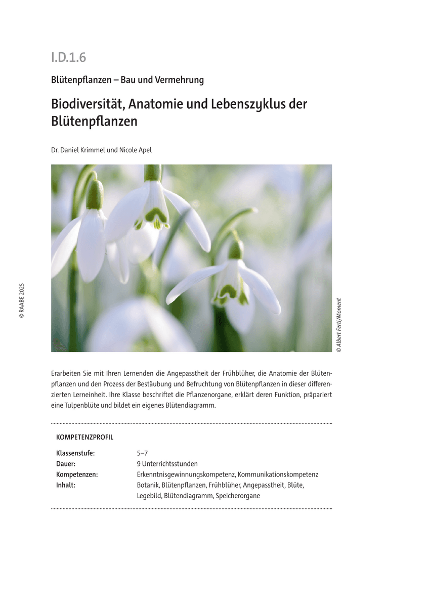 Biodiversität, Anatomie und Lebenszyklus der Blütenpflanzen