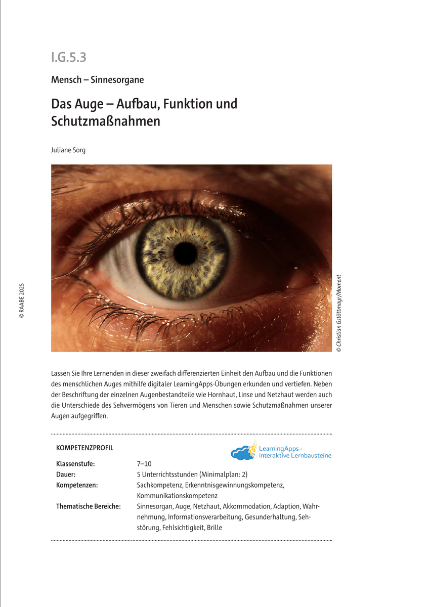 Das Auge