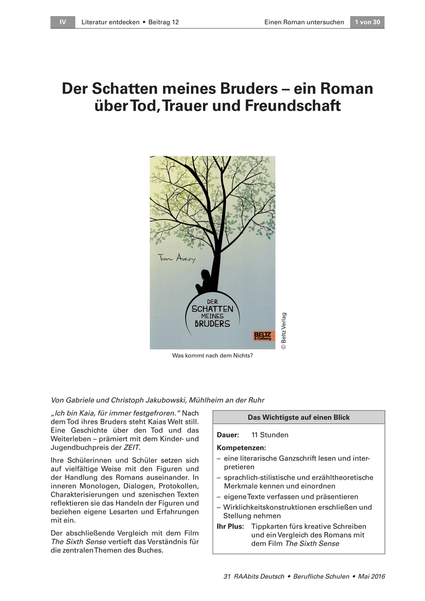 Der Schatten meines Bruders