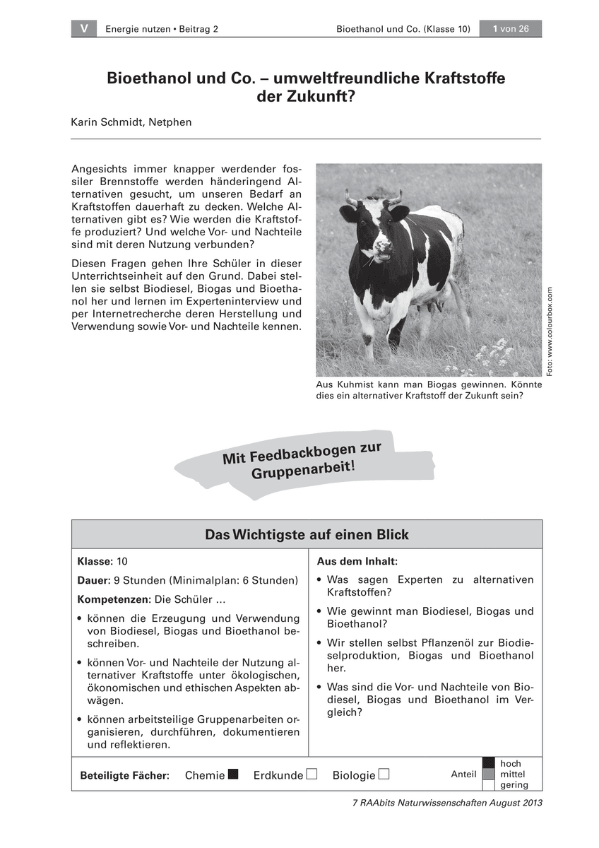 Bioethanol und Co.