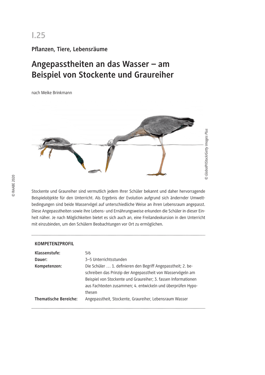 Angepasstheiten an das Wasser