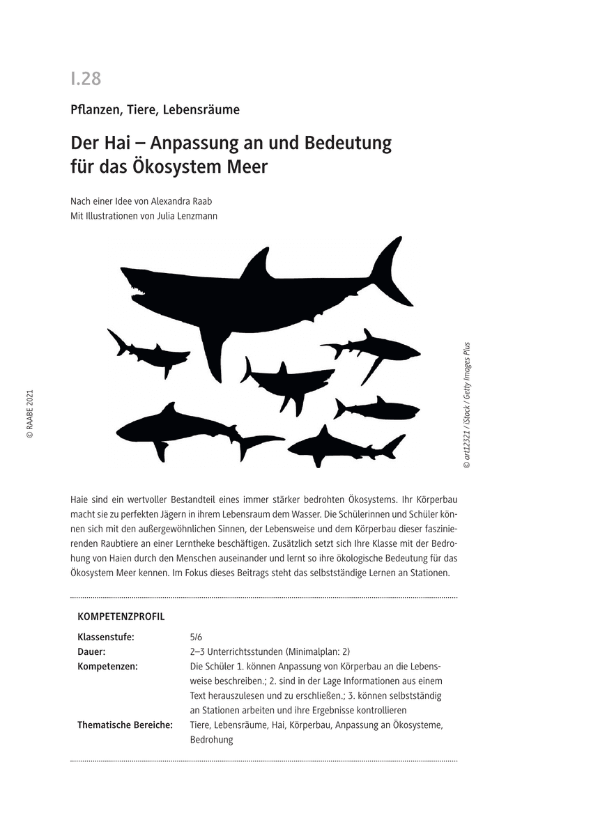 Der Hai