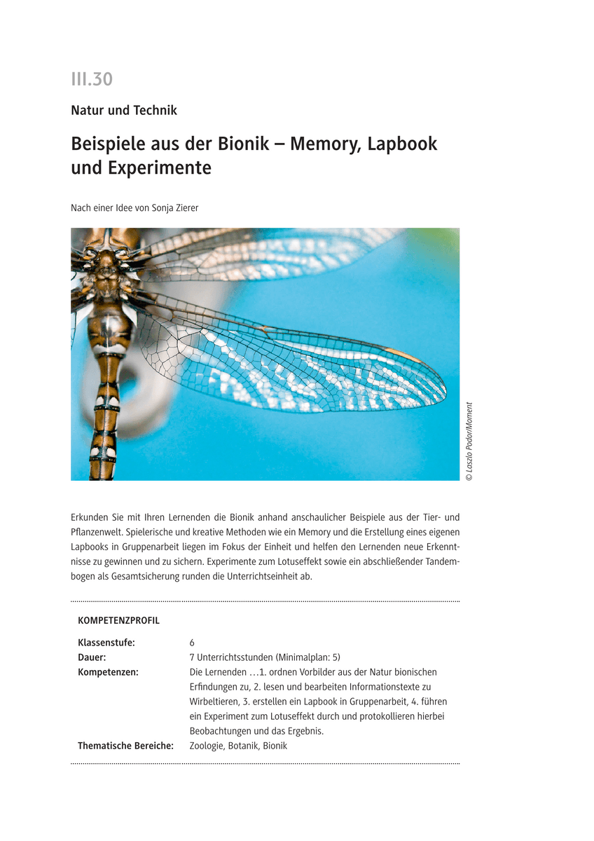 Beispiele aus der Bionik