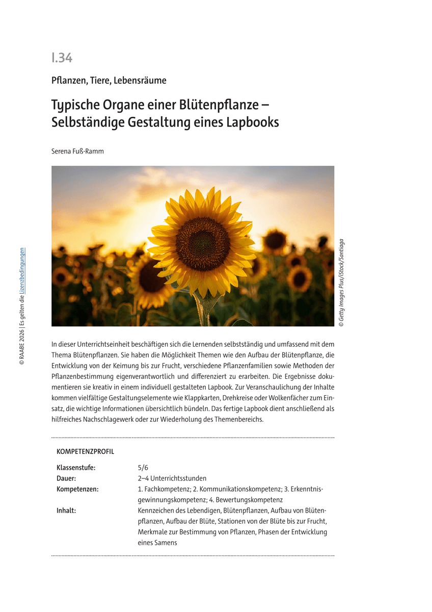 Typische Organe einer Blütenpflanze