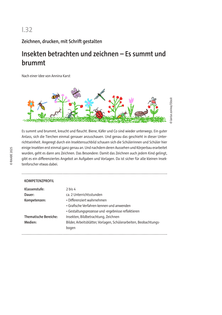 Insekten betrachten und zeichnen
