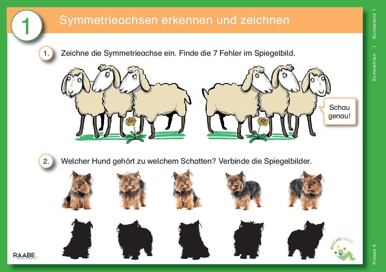 Differenzierte Übungskartei: Symmetrien (Klasse 4)