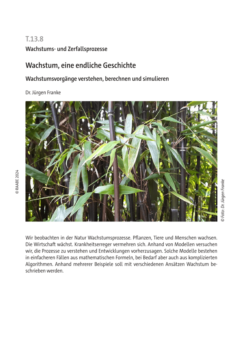 Wachstum, eine endliche Geschichte