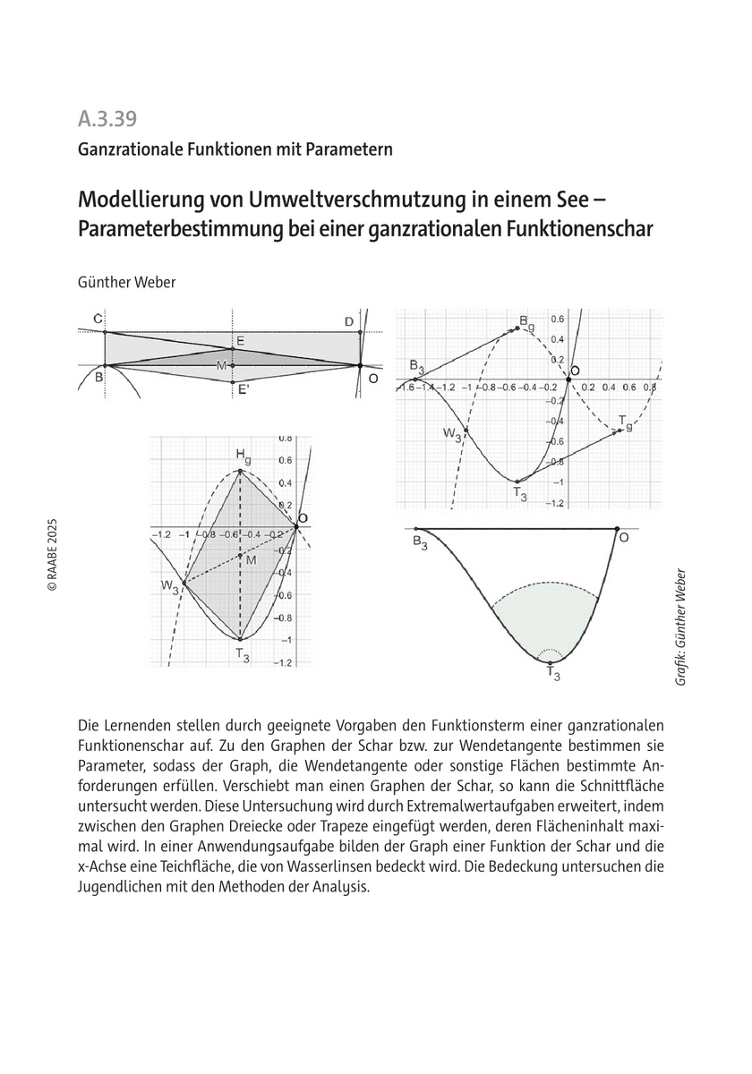 Modellierung von Umweltverschmutzung in einem See