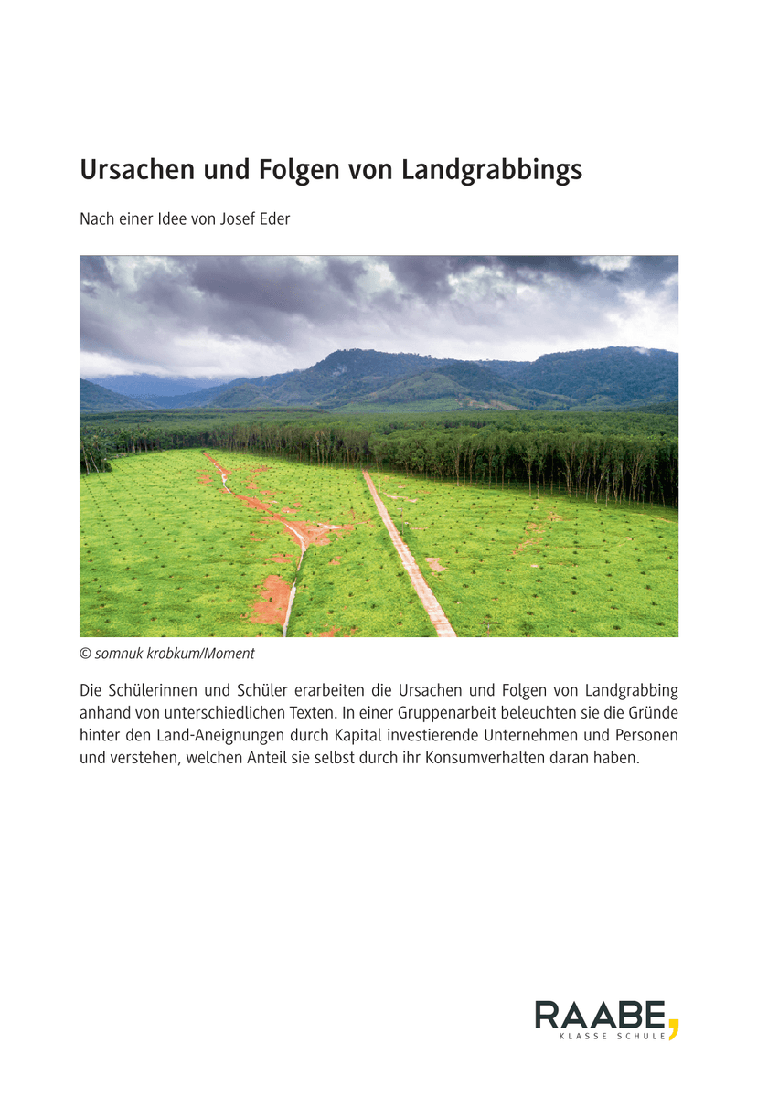 Ursachen und Folgen von Landgrabbing