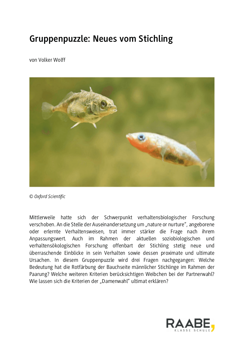Gruppenpuzzle: Neues vom Stichling