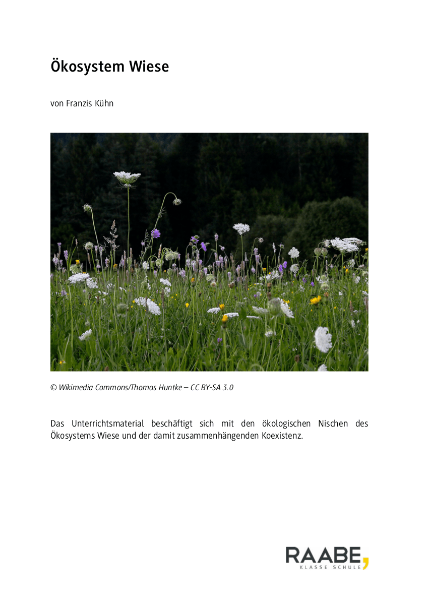 Spucke