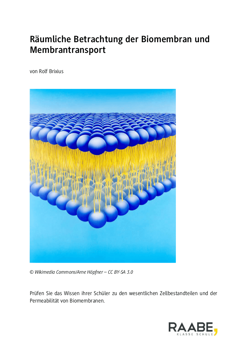 Räumliche Betrachtung der Biomembran und Membrantransport