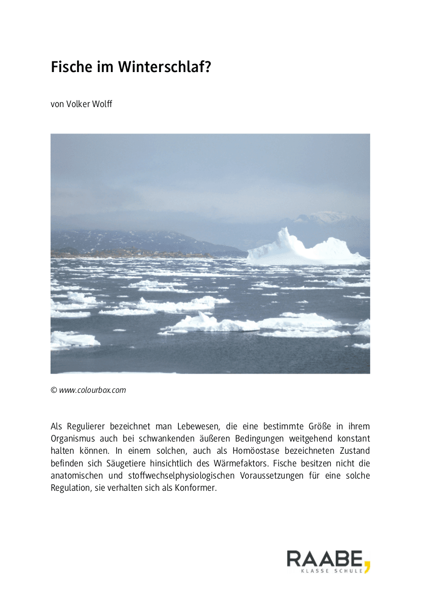 Fische im Winterschlaf?